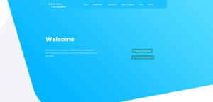Aiport Web Design
